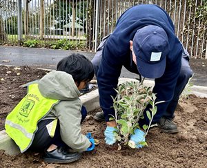 Parks Team helping Sully Primary pupil with planting